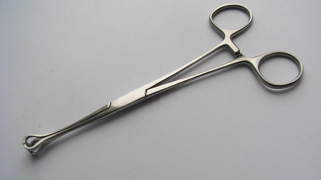 Babcock Forsepsi