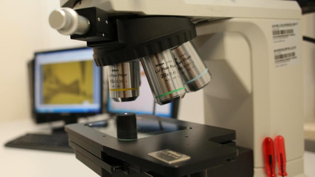 Derinlemesine Görüntüleme Optik Mikroskopu