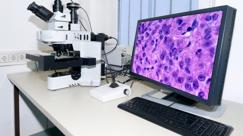 Dijital İmaging Sistemleri