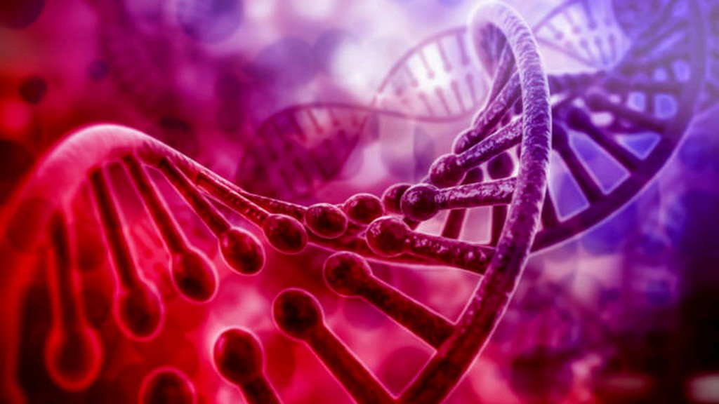 DNA Sekanslama Cihazları