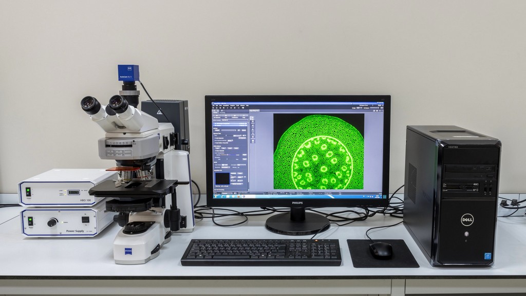 Fluoresan Mikroskop Filtre Setleri