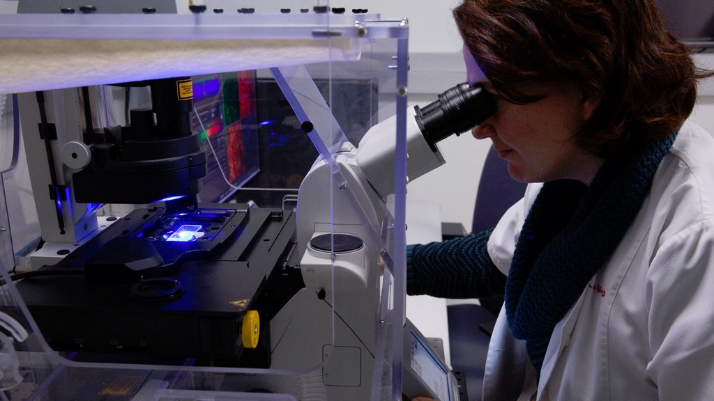 Hücresel İmaging Sistemleri