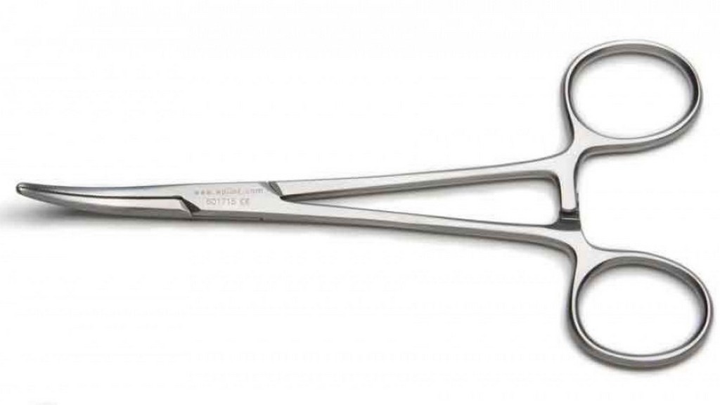 Үлкен жопа секс видео