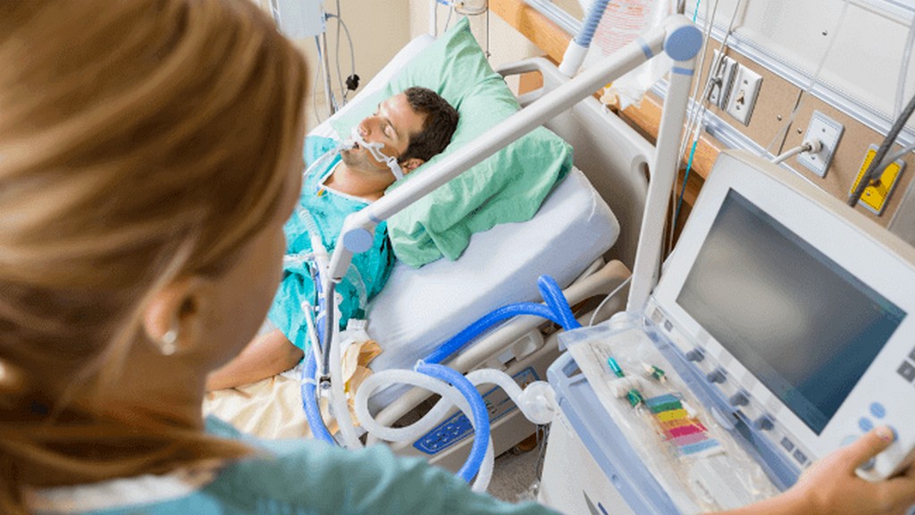 Porno holda eng chiroyli eshak