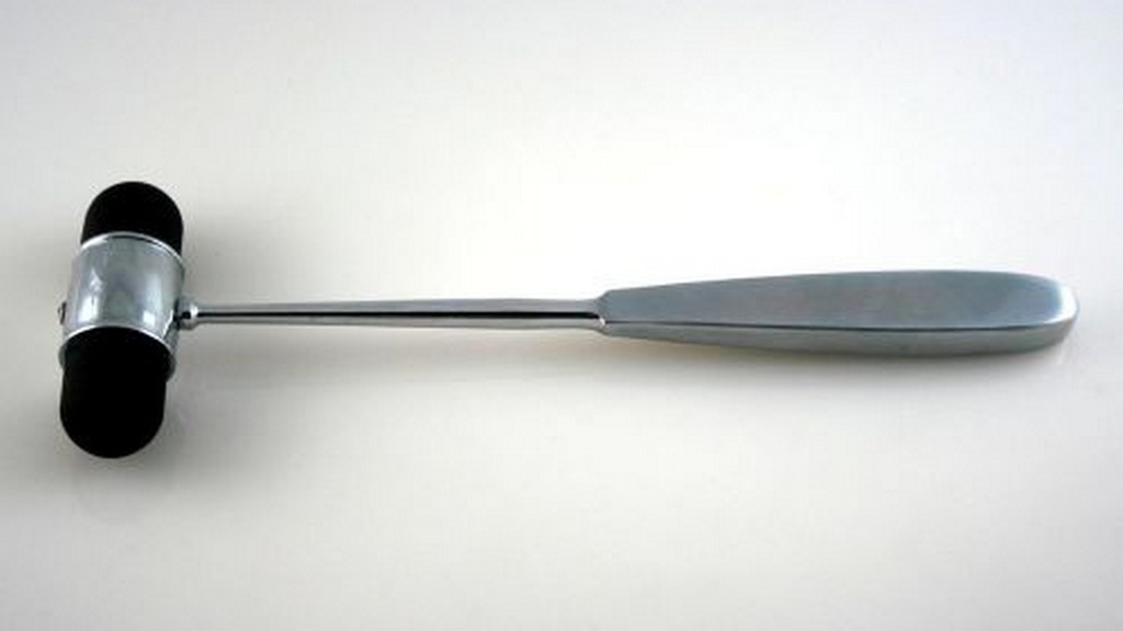 Taylor Model Perküsyon Diz Çekici Fırça ve İğne ile