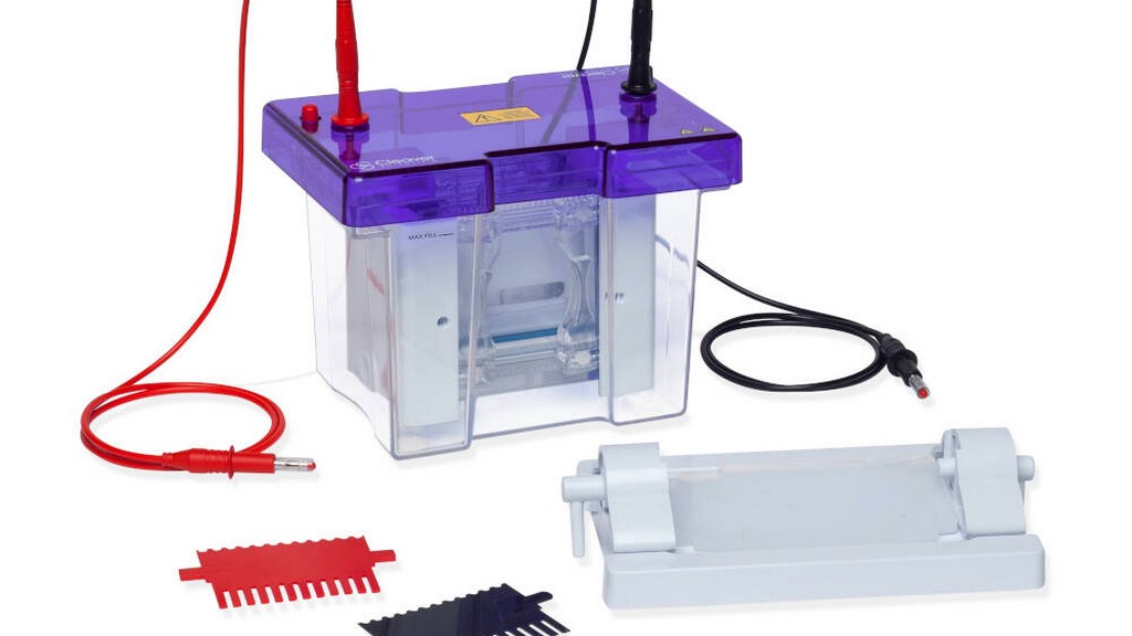 Western Blot Kitleri